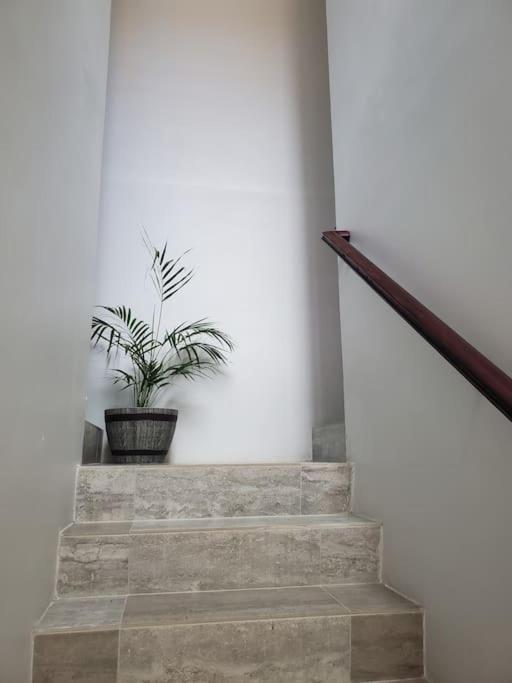 'The Solace' New Luxury Modern 1Bed 1Bath Apt. 포트모어 외부 사진
